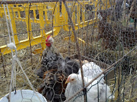 23102011640.jpg