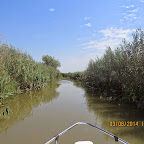IMG_5731.JPG