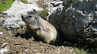 P1110004.JPG