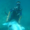 DSC09845.JPG