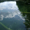 dsc03922.jpg