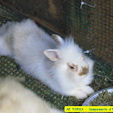 camp2007-157.jpg
