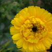 DSC02003.JPG