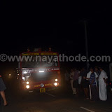 crocodile at nayathode 3.JPG