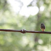 20080713_IMG_6245.jpg