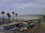 IMG00615-20100129-1213.jpg