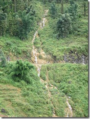 IMG_1189 IMG_1189