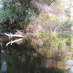 DSCN4543.JPG