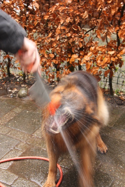 [vervaarlijk%255B3%255D.jpg]