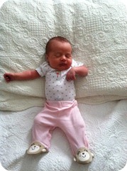 IMG_0289 IMG_0289