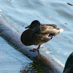 P1020550.JPG