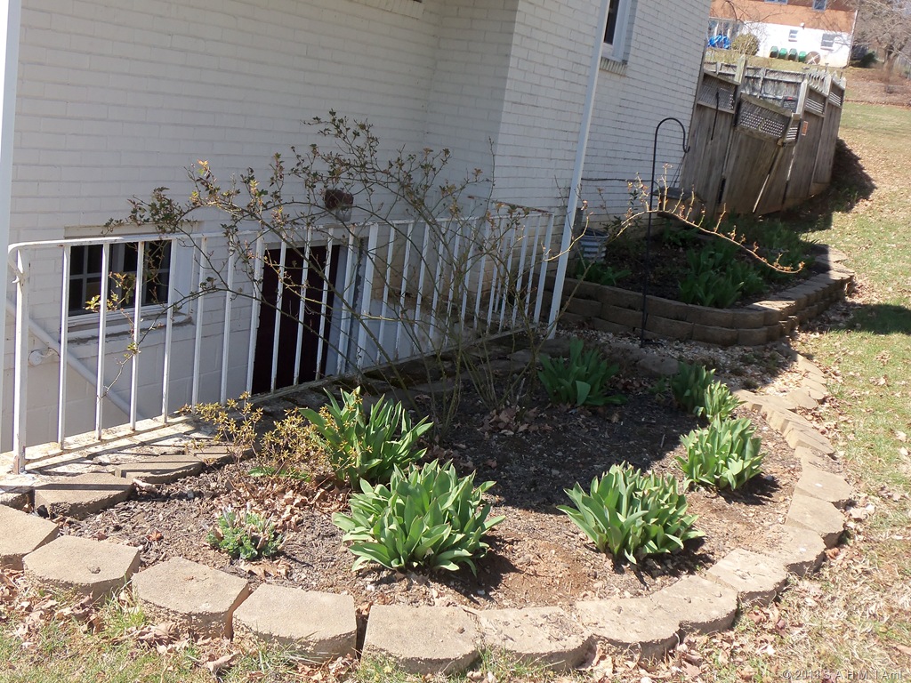 [Gardening%2520012%255B7%255D.jpg]