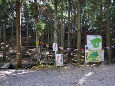 八曽キャンプ場分岐