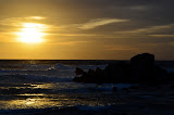 DSC_0408.JPG