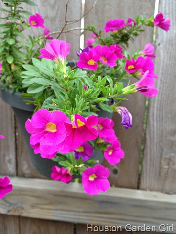 [IMG_1776%255B3%255D.jpg]