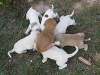 IMG_1504 IMG_1504