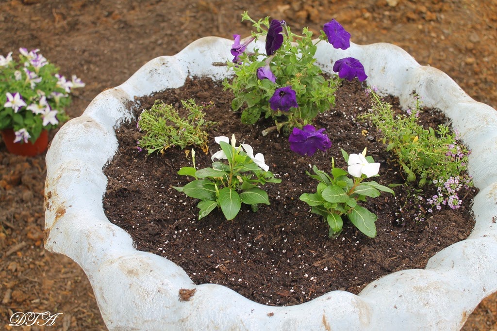 [French%2520drain%2520118%255B4%255D.jpg]