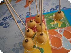 P6060290 P6060290