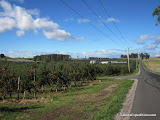 Apple orchards near the start of our drive