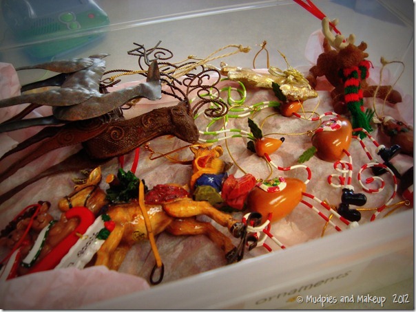 DSC09125 DSC09125