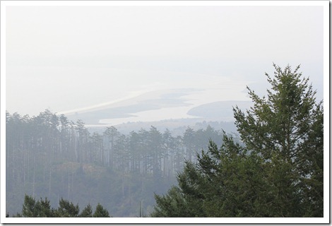 IMG_1746 IMG_1746