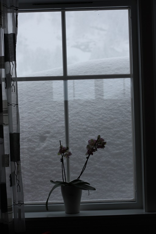 [IMG_0702%255B3%255D.jpg]
