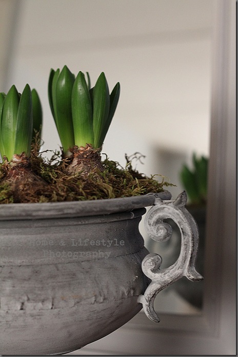 Home & Lifestyle Home & Lifestyle