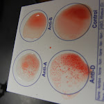 DSCN5507.JPG