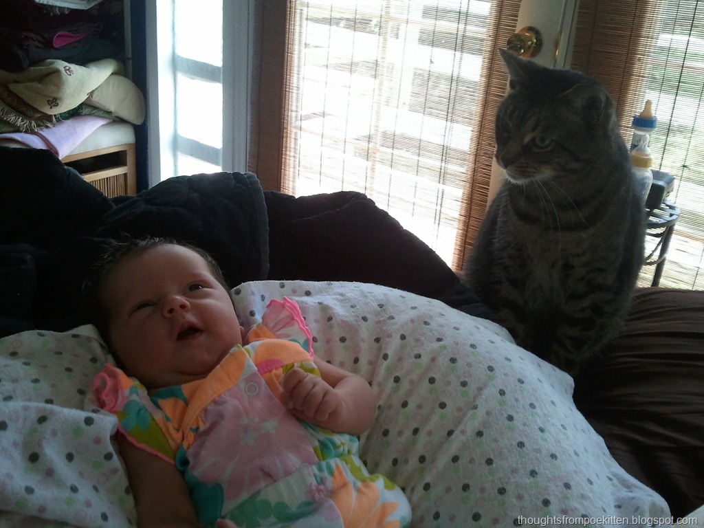 [2012-08-01%252012.10.43%255B14%255D.jpg]