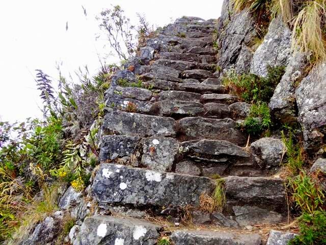 [Machu_Picchu_DSC021604.jpg]