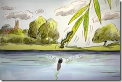 IMG_9890 IMG_9890
