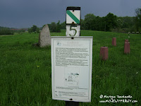 dsc00969.jpg