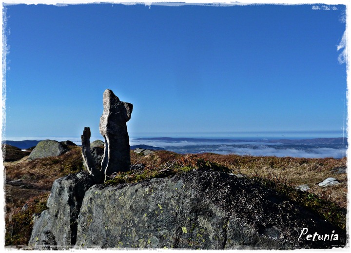 Fjell 2