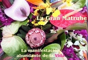 [Matrhe-y-la-vida2.jpg]