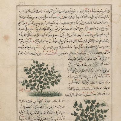 Sycamore (Jummayz) and Walnut (Jawz); folio from a Aja'ib al-makhluqat ("Wonders of Creation") by al-Qazvini | Origin: Iraq or Eastern Turkey | Period: early 15th century Muhammad al-Qazwini (b. Zakariya) c. 1203-1283), | Details: Not Available | Type: Opaque watercolor, ink and gold on paper | Size: H: 32.7 W: 22.4 cm | Museum Code: F1954.75 | Photograph and description taken from Freer and the Sackler (Smithsonian) Museums. 25211b8cd25a4a42ab7f94eb130e5979.jpg