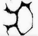 clip_image003