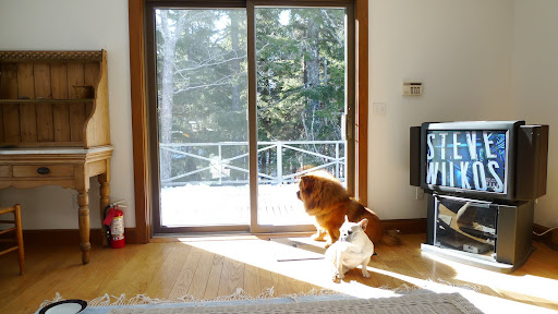 Where could Carlos be?  He needs to change this channel!