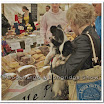 farmers Market 018.jpg