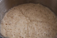 crumpets-1