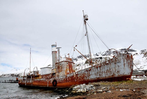 navios naufragados naufragio (27)