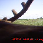 MDGC0428.JPG