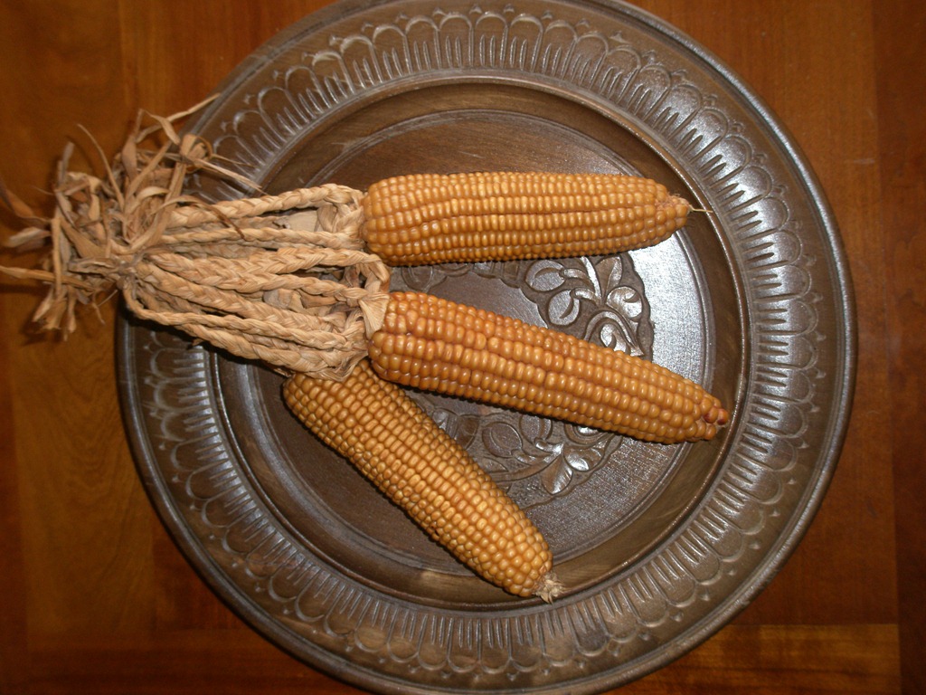 [001%255B2%255D.jpg]