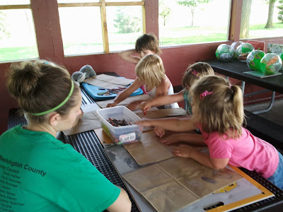 Photo Courtesy of the Washington County Extension
