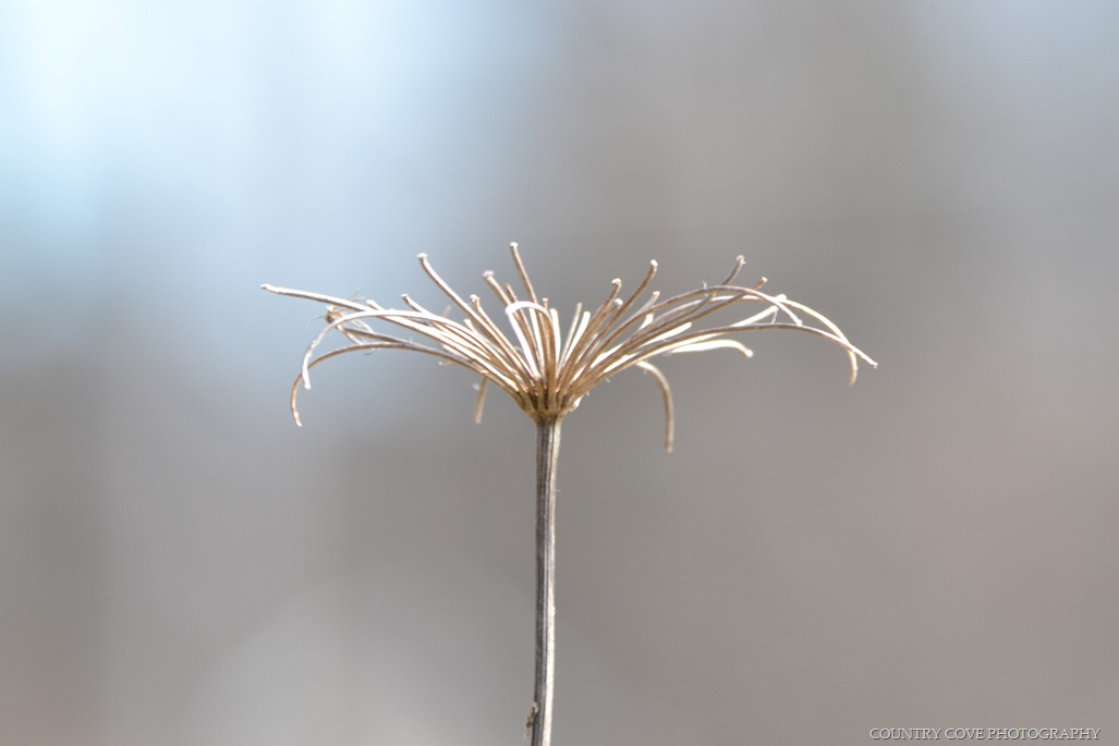 [DSC_4656%255B3%255D.jpg]
