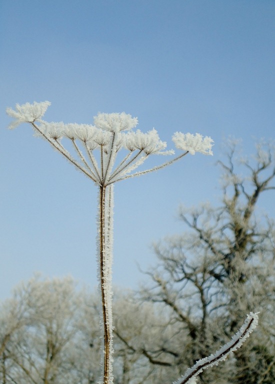 [Cambridge%25202-10%2520icestorm%252029%255B4%255D.jpg]
