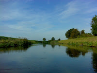 DSC06481.JPG Photo