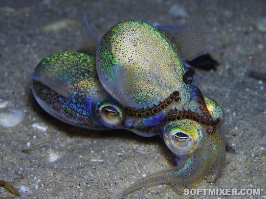 [clip_image004%255B10%255D.png]