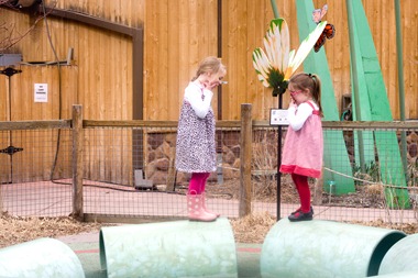 03 28 13_soph tess