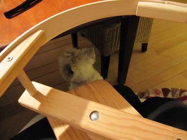[IMG_8559%255B5%255D.jpg]