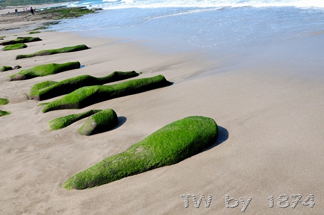 [DSC_6048%255B14%255D.jpg]